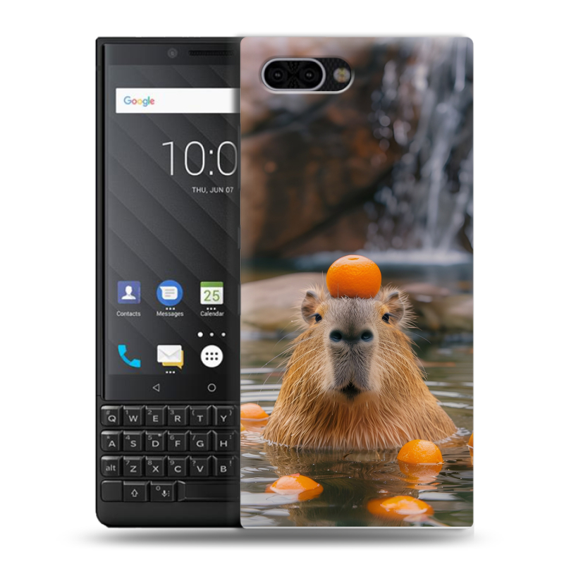 Пластиковый чехол на BlackBerry KEY2 с принтом Капибара с апельсином Пластиковый чехол на BlackBerry KEY2 с принтом Капибара с апельсином