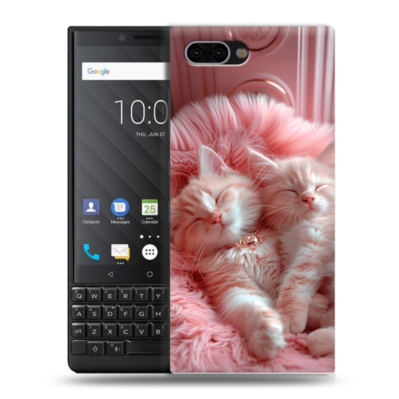 Пластиковый чехол на BlackBerry KEY2 с принтом котята котики Пластиковый чехол на BlackBerry KEY2 с принтом котята котики