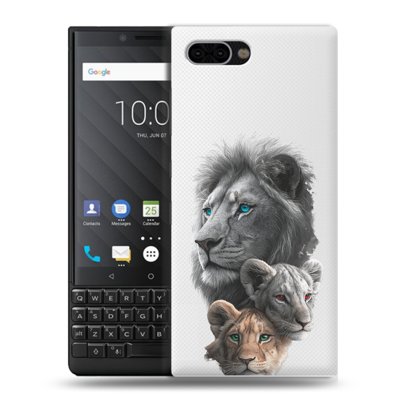 Пластиковый чехол на BlackBerry KEY2 с принтом Львы Пластиковый чехол на BlackBerry KEY2 с принтом Львы
