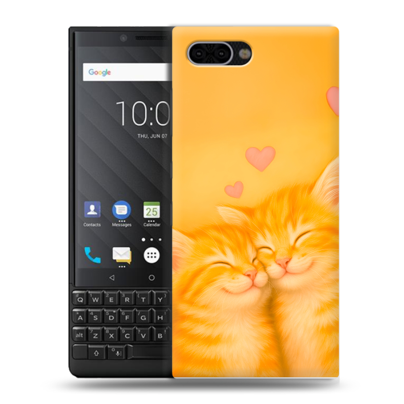 Пластиковый чехол на BlackBerry KEY2 с принтом Милые котята Пластиковый чехол на BlackBerry KEY2 с принтом Милые котята