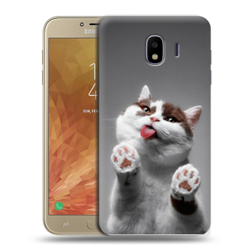 Пластиковый чехол на Samsung Galaxy J4 с принтом Коты Пластиковый чехол на Samsung Galaxy J4 с принтом Коты