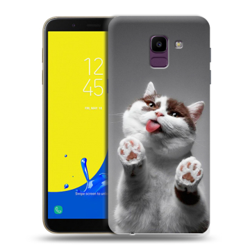 Силиконовый чехол на Samsung Galaxy J6 с принтом Коты