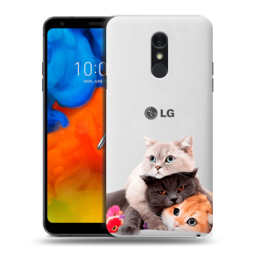 Пластиковый чехол на LG Q Stylus с принтом Кошки