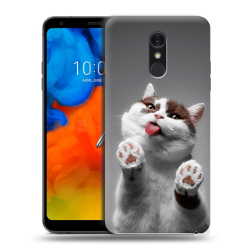 Пластиковый чехол на LG Q Stylus с принтом Коты