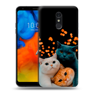 Пластиковый чехол на LG Q Stylus с принтом Кошки