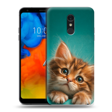 Пластиковый чехол на LG Q Stylus с принтом котенок