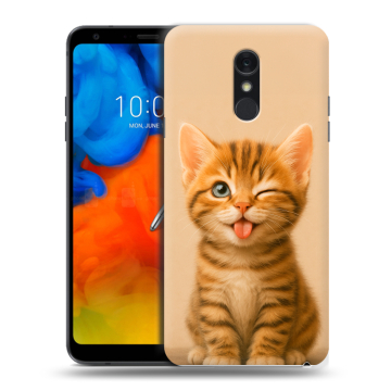 Пластиковый чехол на LG Q Stylus с принтом котенок