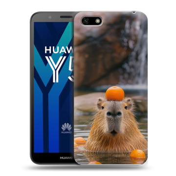 Силиконовый чехол на Huawei Y5 Prime (2018) с принтом Капибара с апельсином