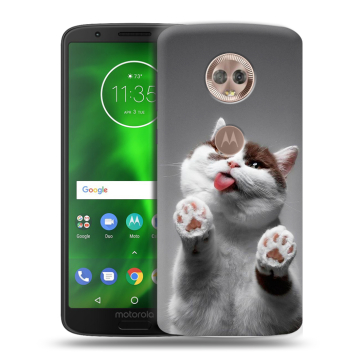 Силиконовый чехол на Motorola Moto G6 с принтом Коты