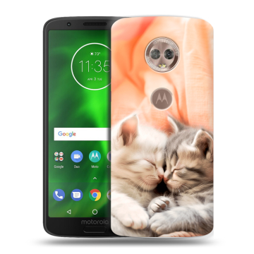 Силиконовый чехол на Motorola Moto G6 с принтом Котята
