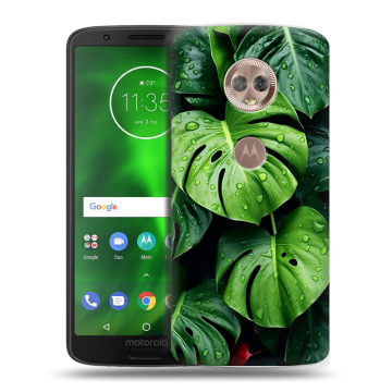 Силиконовый чехол на Motorola Moto G6 с принтом Листья