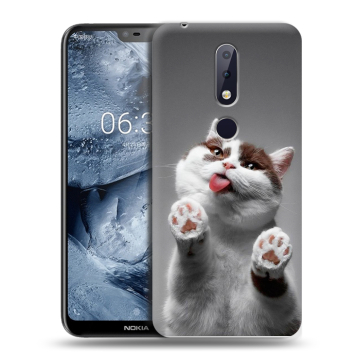 Силиконовый чехол на Nokia 6.1 Plus с принтом Коты