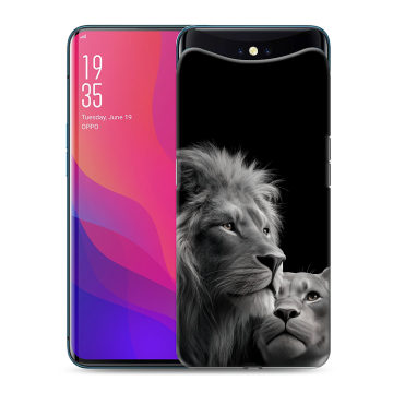 Силиконовый чехол на OPPO Find X с принтом Лев кошки