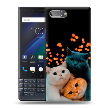 Пластиковый чехол на BlackBerry KEY2 LE с принтом Кошки