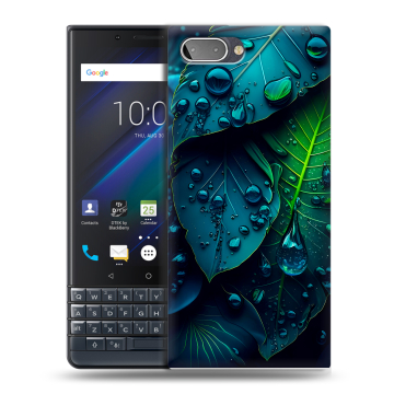Пластиковый чехол на BlackBerry KEY2 LE с принтом Листья