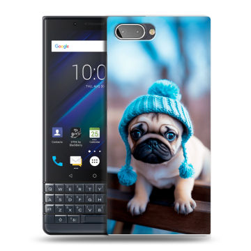 Пластиковый чехол на BlackBerry KEY2 LE с принтом Мопс в шапке