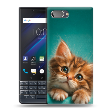 Пластиковый чехол на BlackBerry KEY2 LE с принтом котенок