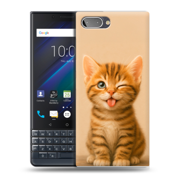 Пластиковый чехол на BlackBerry KEY2 LE с принтом котенок