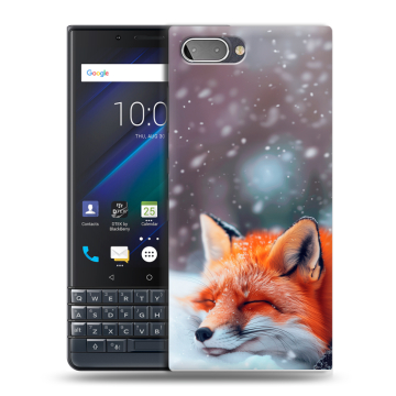 Пластиковый чехол на BlackBerry KEY2 LE с принтом лиса Пластиковый чехол на BlackBerry KEY2 LE с принтом лиса