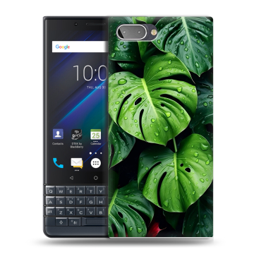 Пластиковый чехол на BlackBerry KEY2 LE с принтом Листья Пластиковый чехол на BlackBerry KEY2 LE с принтом Листья