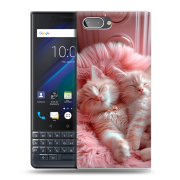 Пластиковый чехол на BlackBerry KEY2 LE с принтом котята котики