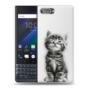Пластиковый чехол на BlackBerry KEY2 LE с принтом Котенок Пластиковый чехол на BlackBerry KEY2 LE с принтом Котенок