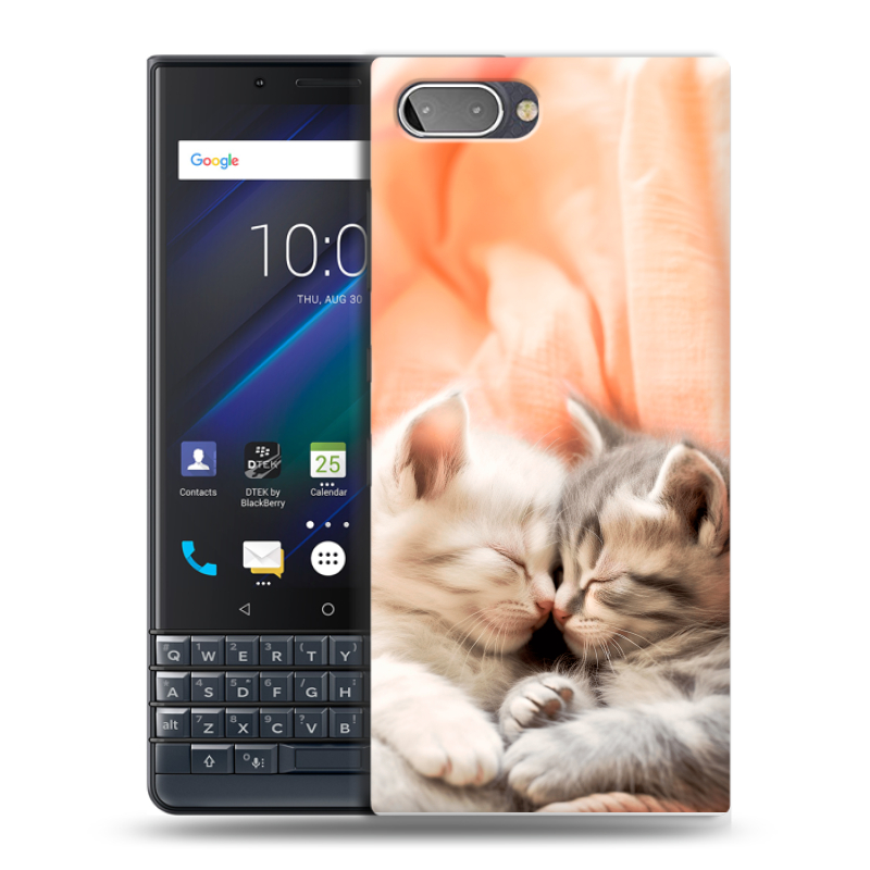 Пластиковый чехол на BlackBerry KEY2 LE с принтом Котята Пластиковый чехол на BlackBerry KEY2 LE с принтом Котята