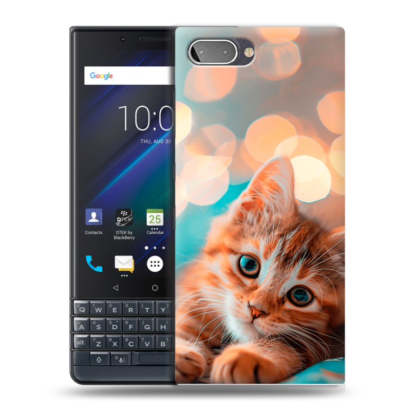Пластиковый чехол на BlackBerry KEY2 LE с принтом котик Пластиковый чехол на BlackBerry KEY2 LE с принтом котик