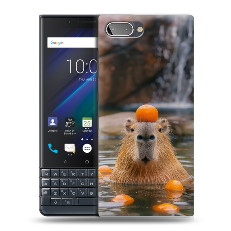 Пластиковый чехол на BlackBerry KEY2 LE с принтом Капибара с апельсином Пластиковый чехол на BlackBerry KEY2 LE с принтом Капибара с апельсином