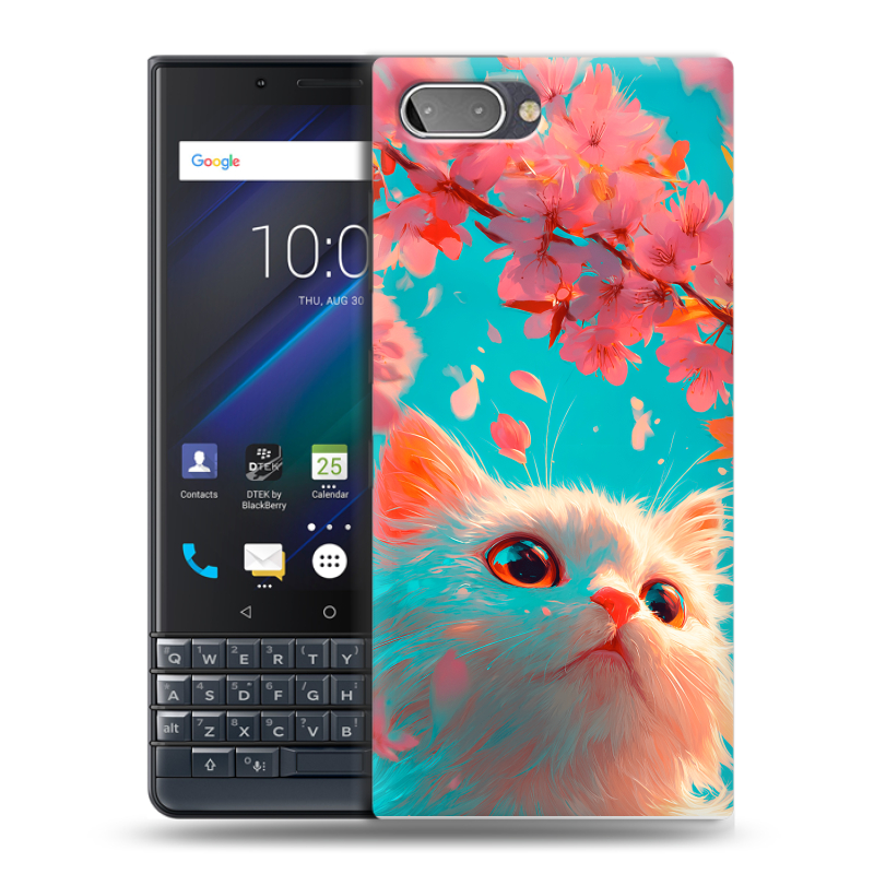 Пластиковый чехол на BlackBerry KEY2 LE с принтом Красивый кот Пластиковый чехол на BlackBerry KEY2 LE с принтом Красивый кот
