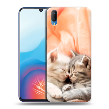 Пластиковый чехол на Vivo V11 с принтом Котята