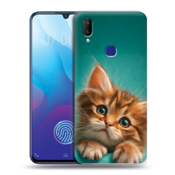 Пластиковый чехол на Vivo V11i с принтом котенок