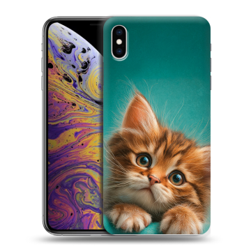 Силиконовый чехол на Iphone Xs Max с принтом котенок Силиконовый чехол на Iphone Xs Max с принтом котенок