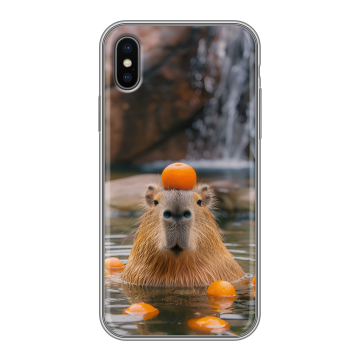 Силиконовый чехол на Iphone X/XS с принтом Капибара с апельсином