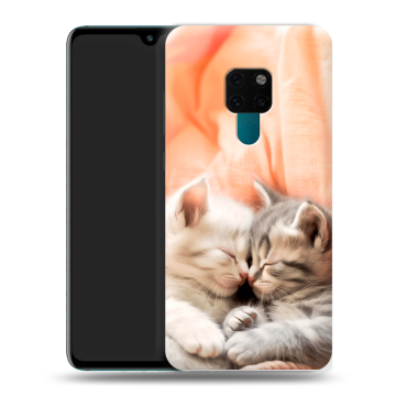 Силиконовый чехол на Huawei Mate 20 с принтом Котята
