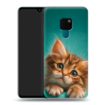 Силиконовый чехол на Huawei Mate 20 с принтом котенок