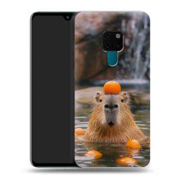 Силиконовый чехол на Huawei Mate 20 с принтом Капибара с апельсином
