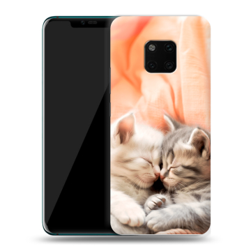 Пластиковый чехол на Huawei Mate 20 Pro с принтом Котята