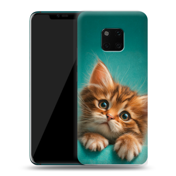 Пластиковый чехол на Huawei Mate 20 Pro с принтом котенок
