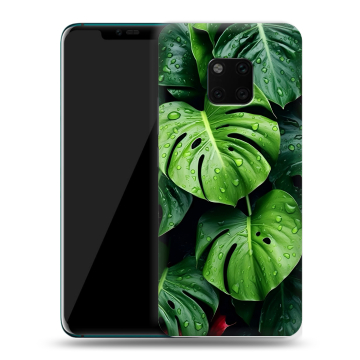 Пластиковый чехол на Huawei Mate 20 Pro с принтом Листья Пластиковый чехол на Huawei Mate 20 Pro с принтом Листья