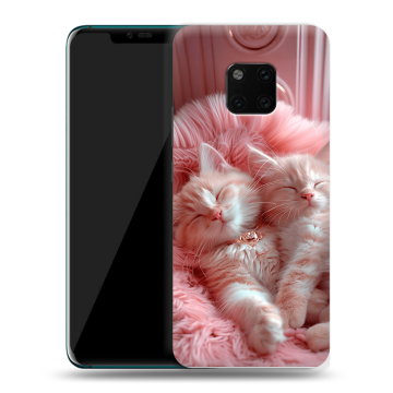 Пластиковый чехол на Huawei Mate 20 Pro с принтом котята котики