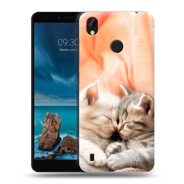 Силиконовый чехол на ZTE Blade A7 Vita с принтом Котята