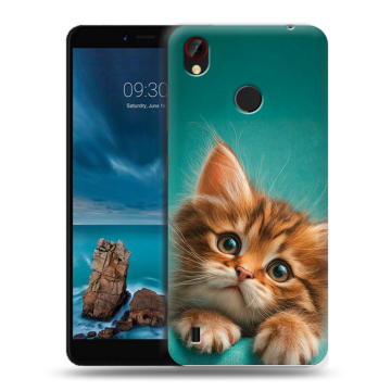Силиконовый чехол на ZTE Blade A7 Vita с принтом котенок