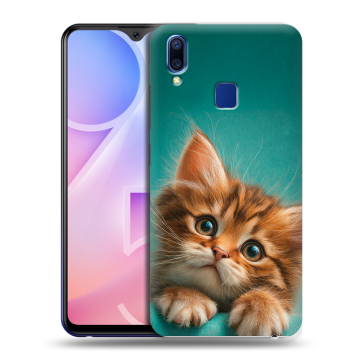Пластиковый чехол на Vivo Y95 с принтом котенок Пластиковый чехол на Vivo Y95 с принтом котенок