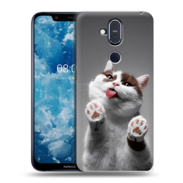 Пластиковый чехол на Nokia 8.1 с принтом Коты Пластиковый чехол на Nokia 8.1 с принтом Коты