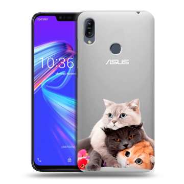 Силиконовый противоударный чехол на ASUS ZenFone Max M2 с принтом Кошки Силиконовый противоударный чехол на ASUS ZenFone Max M2 с принтом Кошки