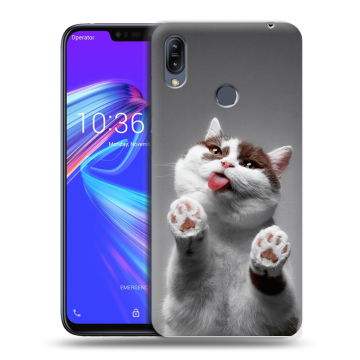 Силиконовый противоударный чехол на ASUS ZenFone Max M2 с принтом Коты Силиконовый противоударный чехол на ASUS ZenFone Max M2 с принтом Коты