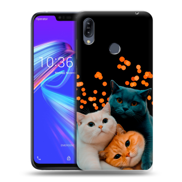 Силиконовый противоударный чехол на ASUS ZenFone Max M2 с принтом Кошки Силиконовый противоударный чехол на ASUS ZenFone Max M2 с принтом Кошки