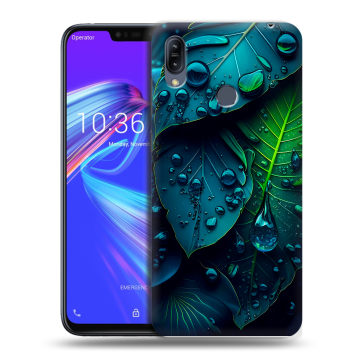 Силиконовый противоударный чехол на ASUS ZenFone Max M2 с принтом Листья Силиконовый противоударный чехол на ASUS ZenFone Max M2 с принтом Листья