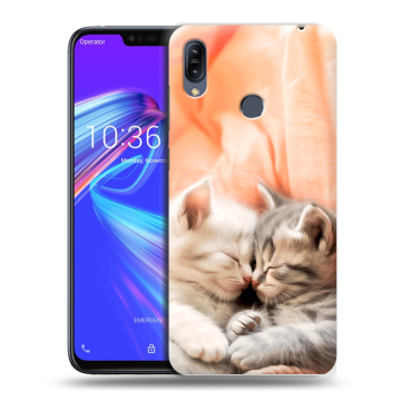 Силиконовый противоударный чехол на ASUS ZenFone Max M2 с принтом Котята